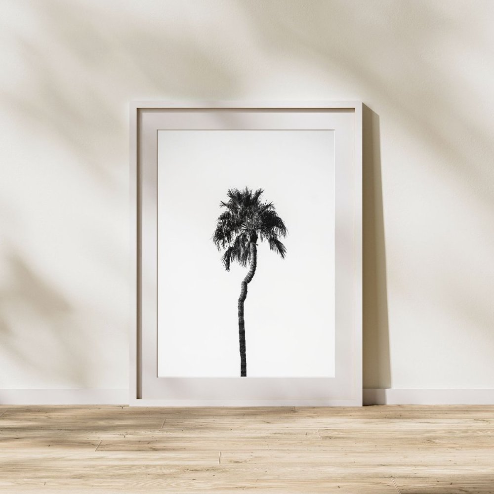 Minimalist Black & White Palm Tree Landscape 8x10 Photo Art Print